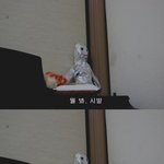 [펌]뭘봐<b>시발</b>시리즈