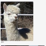 ★★★★★★★★썸남과의 끔찍한 이야기~★★★★★★★★★★