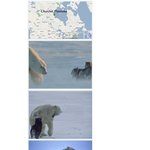 스무번째. 훈훈한 <b>동물</b>모음