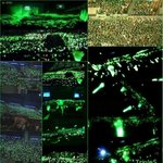 ss501을 잘 모르는 분들 들어오세요