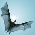 사진有)☆★☆★인류 멸망후 미래 <b>동물</b>☆★☆★