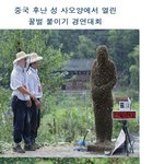 스물세번째. 꿀벌붙이기<b>대회</b>