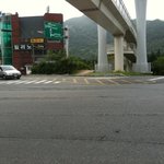 ★ 몸에 구멍이 난 유기견을 신고했습니다. 도와주세요 ★