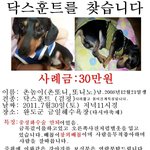 ★★7월30일 저녁11시경  <b>완도</b>금일해수욕장에계신분들★★