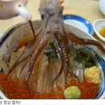 진짜 미친것같은 일본 ㅡㅡ <b>이색</b>적인오징어요리?