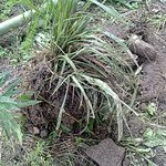 ★★실화 남자 고딩 7명의 공포의 밀양 여행기 증거有