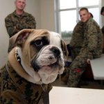 언니들 남자친구가 나 싸대기 존나 후렸어 ㅠ