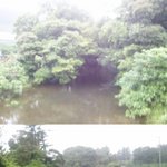 1박2일 이승기도 못본 제주도 비경 엉또<b>폭포</b>를 소개합니다.