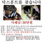 ★★사례금 30만원드립니다. 제발도와주세요ㅠㅠ★★