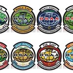 bsaa 비밀<b>조직</b> 조사