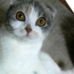 김태우 닮았다는 사진 다시올림 <b>오류</b>나서 글이 안써졌음.