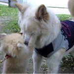 ★★★사진有)수능 100일! 우리 가족이 나에게 <b>준거</b>★★★