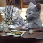 다시또 <b>심오</b>한토론을하기위하여