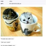 ★<b>여자</b>친구 <b>집</b>에 데려오는 방법○댓글대박