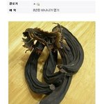 ★☆★☆★발효<b>식품</b> 종결★☆★☆★