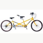 ★★★(사진有)여행갔다가 모험심 인증한 여자들★★★