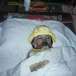 [클릭주의] '찹쌀떡 인간'? 진실을 알려드립니다.