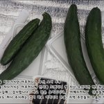 [왜관 평화농성단] '아메리카<b>no</b>' 여덟째날 활동보고- 주권방송...