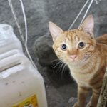 고속버스 <b>쩍벌</b>'훈'남을 찾습니다