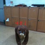 *주의/수정(셀카+2탄) ※주의 밖에선일반인 반에선짐승인우리들