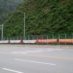 강원랜드 내국인 카지노 <b>독점</b> 철폐 안 되면 차라리 폐쇄하라!