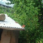 ★★★더위를 피하는 방법 ver.<b>복실</b>