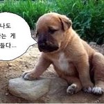 <b>TV</b>에 나오는 걱정인형 !? 우연히 걱정인형이벤트에서 발견한 빵터지는...