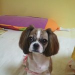 ★☆★한예슬 닮은 우리 막내 사진有