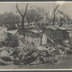 노약자/임산부들어오지마세요 @방사능유출피해@