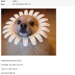 디시의 흔한 <b>패륜</b>