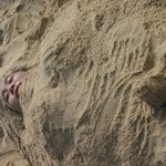 권혁대의 귀한아들 권순백