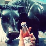 <b>도심</b>속에서 발견한 스페인과 미국 라스베가스 ㅋㅋ