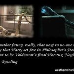 ★★(개충격)해리포터에 숨겨진 놀라운진실!!(아마 아무도 모를껄...