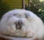 ☆☆☆가가라이브에서만난30분의자기 ><☆☆☆