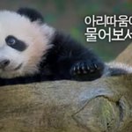 아리따움 <b>새모델</b> 누구인가요??