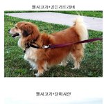 ★★★본격_쩌는_<b>유전자</b>.jpg★★★