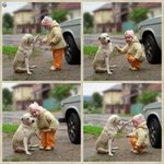 ●○귀요미 <b>동물</b>칭그들 대방출○●