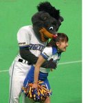 <b>실험</b>중의 !!재밌는사진 만화  2탄!!