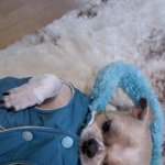 수정!!(사진有)진짜 개그 터지는 우리가족3ㅋㅋㅋㅋㅋㅋㅋㅋㅋㅋㅋ...