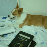 다들 이런취미 하나씩 갖고계시죠?ㅋ