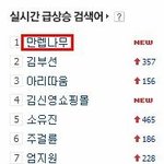 만렙나무의 실체???????