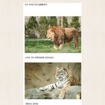 동물 <b>몸값</b> 순위