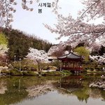 외국에 자랑할 대한<b>민국</b>의 아름다움
