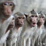 일본이 생각하는 우리나라 vs 우리가 생각하는 일본 (분노주의)