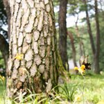 4박5일 영주,경주,부산 혼자 다녀옴!ㅋㅋ