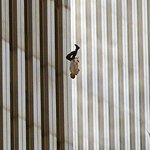 세계적으로 가장 충격적인 장면들