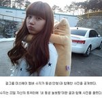 ◆◆◆◆웃긴댓글모음 [1탄]◆◆◆◆ (스압<b>주의</b>)