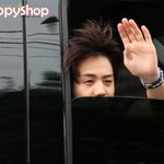 시츄같다는 비스트 <b>요섭</b>