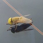 ★★(사진有) 이게... 뭐죠?★★