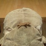 여러분~이인형의 <b>정체</b>가 뭐같아요~?(사진첨부)빨리!